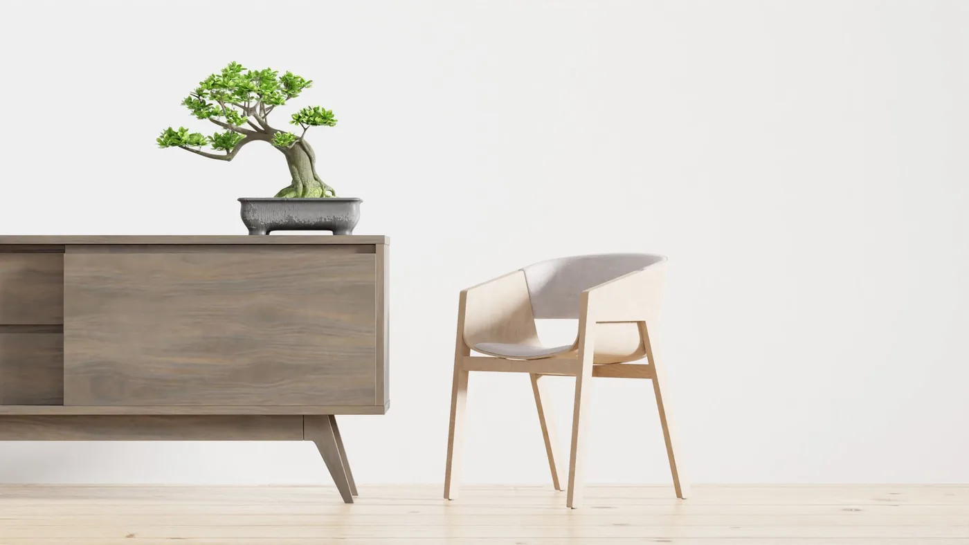 bonsaj na dřevěné skříňce vedle designové židle