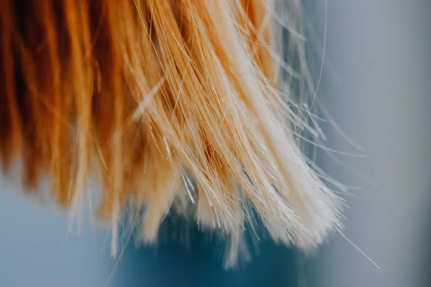 detail konečků světlých vlasů