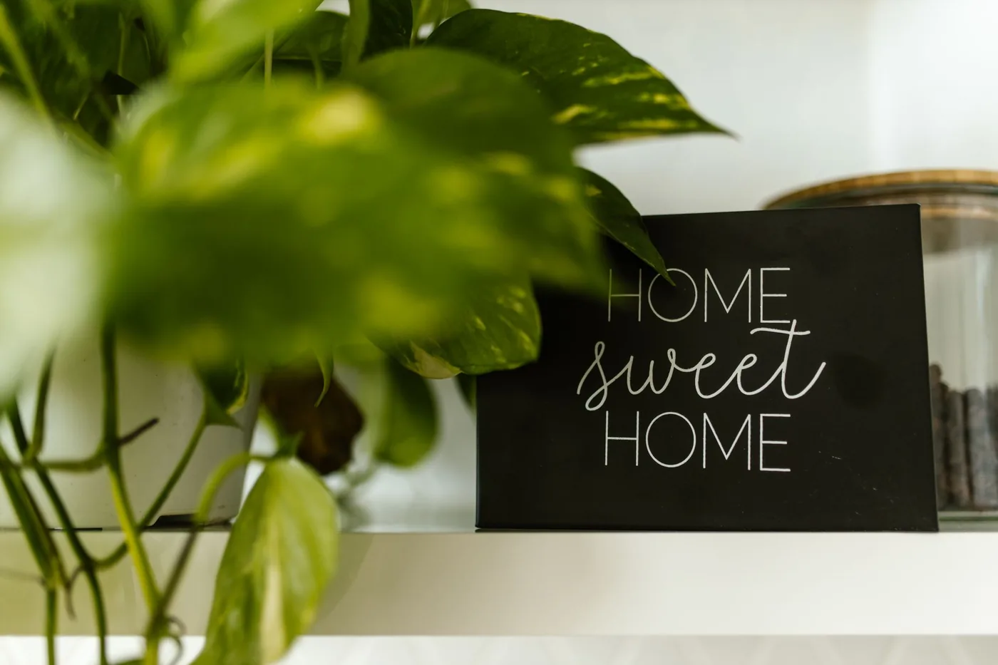 cedule Home Sweet Home mezi zelenými listy